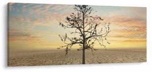 Slika - Drevo v puščavi (120x50 cm)