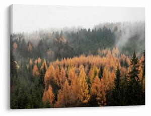Slika - Jesenski gozd (70x50 cm)