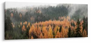 Slika - Jesenski gozd (120x50 cm)