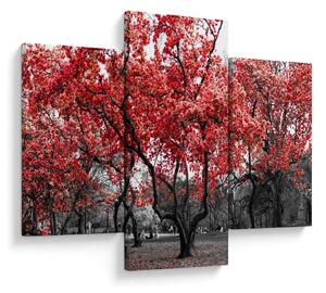 Slika - Rdeča drevesa, Central Park, New York (90x60 cm)