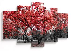 Slika - Rdeča drevesa, Central Park, New York (150x105 cm)