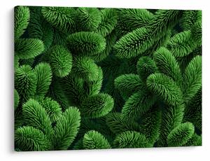 Slika - Vejice iglavcev (70x50 cm)