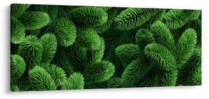 Slika - Vejice iglavcev (120x50 cm)