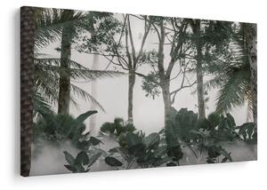 Slika - Džungla v jutranji megli (90x60 cm)