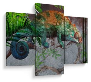 Slika - Kameleon (90x60 cm)