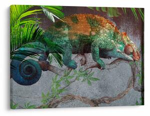 Slika - Kameleon (70x50 cm)