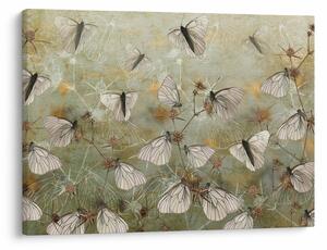 Slika - Vintage metulji (70x50 cm)