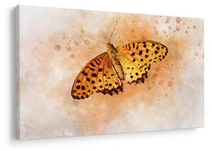 Slika - Oranžni metulj, akvarel (90x60 cm)