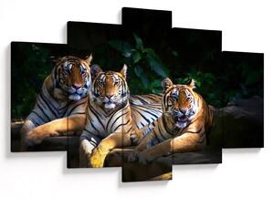 Slika - Tiger bratje (150x105 cm)