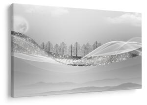 Slika - Srebrna pokrajina (90x60 cm)