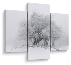 Slika - Bela zima (90x60 cm)