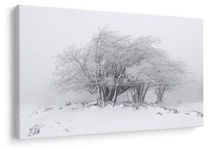 Slika - Bela zima (90x60 cm)