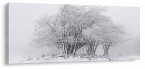 Slika - Bela zima (120x50 cm)