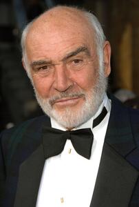 Fotografija Sean Connery at the 35th AFI Life Achievement Award, Stephen Shugerman