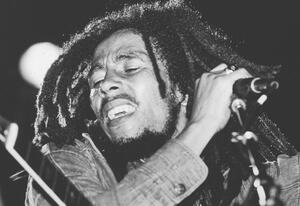 Fotografija Bob Marley Performs On Stage, Express Newspapers