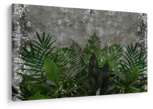 Slika - Betonski zid z rastlinami (90x60 cm)