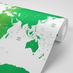 Tapeta zemljovid svijeta s pojedinim državama u zelenoj boji