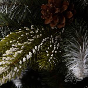 Božićno drvce Pirenejska smreka 250 cm