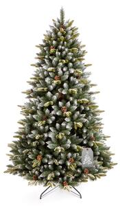 Božićno drvce Pirenejska smreka 180 cm