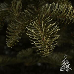 Božićno drvce Kavkaska jelka 100 % 250 cm