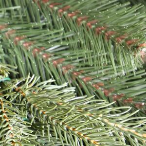 Božićno drvce Alaska smreka 3D 180 cm