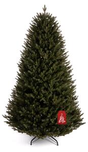 Božićno drvce Nepal smreka 250 cm