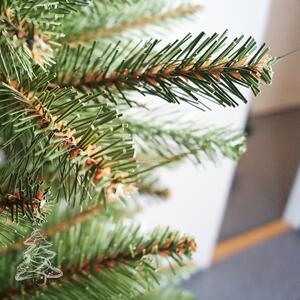 Božićno drvce Kavkaska smreka 2D 120 cm