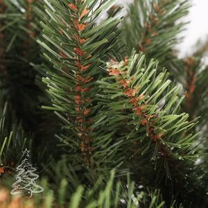 Božićno drvce Kavkaska smreka 2D 120 cm