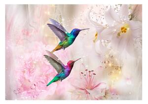 Foto tapeta - Colourful Hummingbirds (Pink)