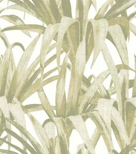 Flis tapeta za zid, zelena, lišće, 15525, Botany House, Cristiana Masi by Parato | Ljepilo Gratis