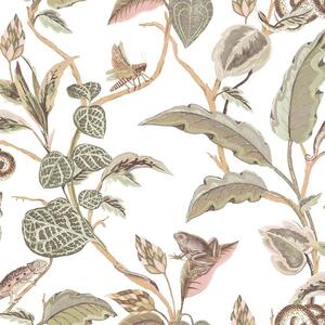 Flis tapeta za zid, zeleno-ružičasta, lišće, 15507, Botany House, Cristiana Masi by Parato | Ljepilo Gratis