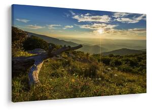 Slika - Pogled na okolicu (90x60 cm)