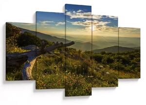 Slika - Pogled na okolicu (150x105 cm)