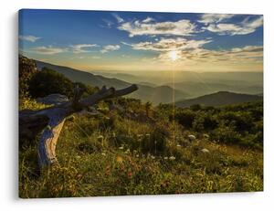Slika - Pogled na okolicu (70x50 cm)