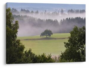 Slika livade sa stablom (70x50 cm)