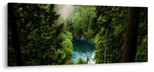 Slika - Pogled između stabala (120x50 cm)