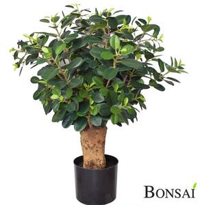 Umjetni bonsai Ficus Botanika 70 - 51 - 70 cm