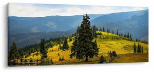 Slika - Planinska livada (120x50 cm)