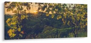 Slika - Vinograd (120x50 cm)