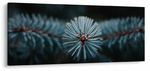 Slika grančice crnogoričnog drveta (120x50 cm)