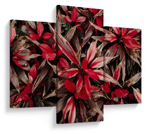 Slika crvenih latica (90x60 cm)