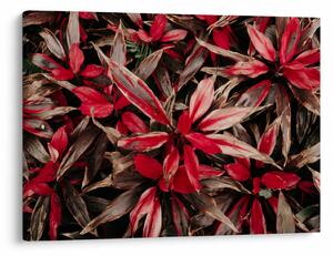 Slika crvenih latica (70x50 cm)