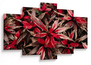 Slika crvenih latica (150x105 cm)