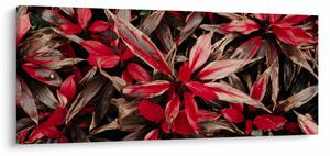 Slika crvenih latica (120x50 cm)