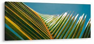 Slika - Detalj palminog lista (120x50 cm)
