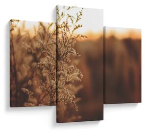 Slika trave koja cvate (90x60 cm)