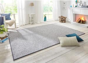 Sivi tepih 160x240 cm Wolly – BT Carpet