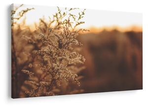 Slika trave koja cvate (90x60 cm)