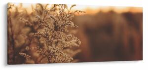 Slika trave koja cvate (120x50 cm)