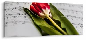Slika crvenog tulipana (120x50 cm)